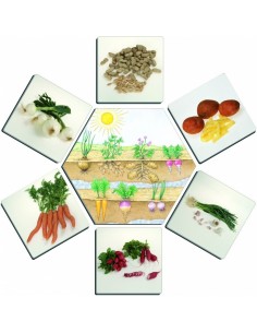 De unde provin alimentele