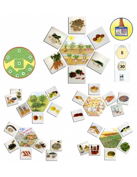 De unde provin alimentele De unde provin alimentele