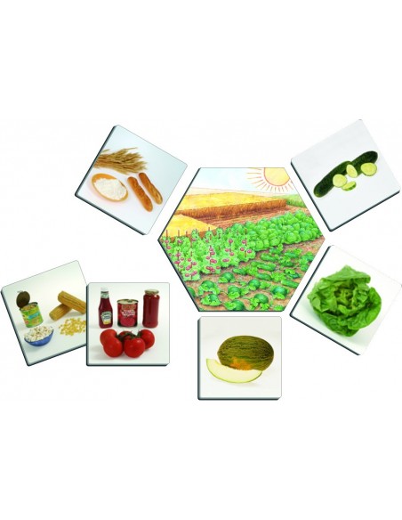 De unde provin alimentele De unde provin alimentele