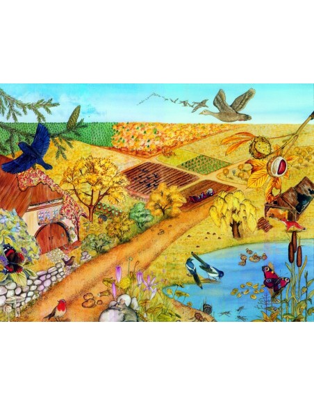 Anotimpurile - set 4 planse