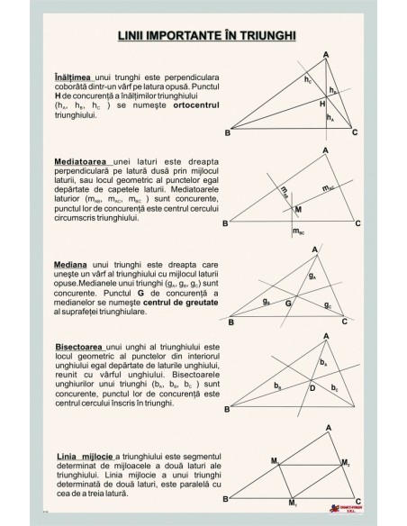 Linii importante in triunghi