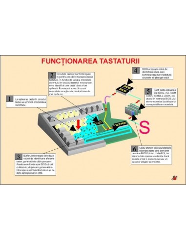 Functionarea tastaturii