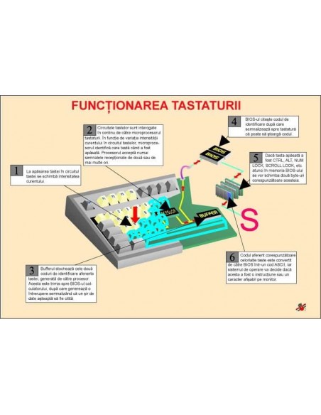 Functionarea tastaturii