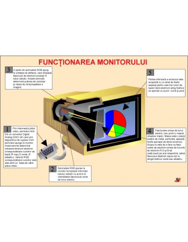 Functionarea monitorului