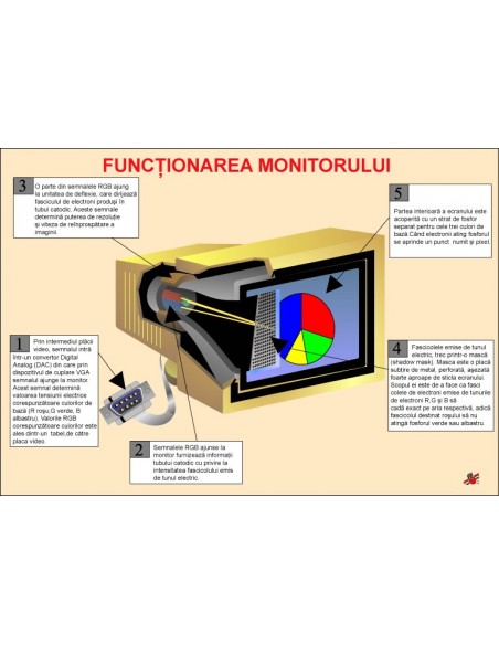 Functionarea monitorului