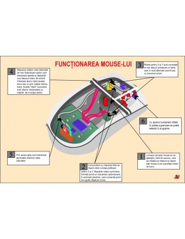 Functionarea mouse-lui