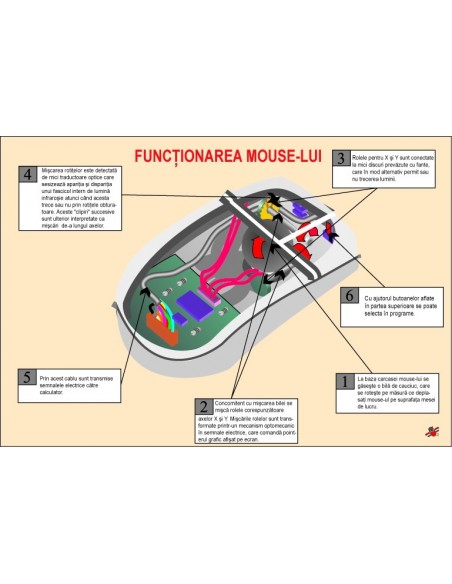 Functionarea mouse-lui