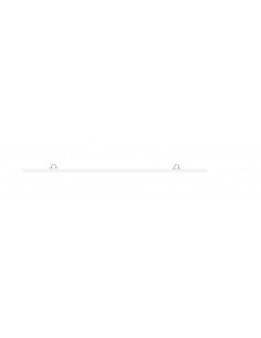 Biocenoza campiilor 2