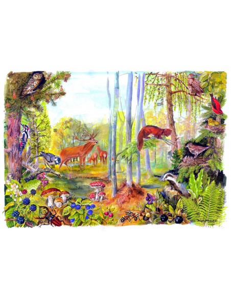 Biocenoza padurilor II