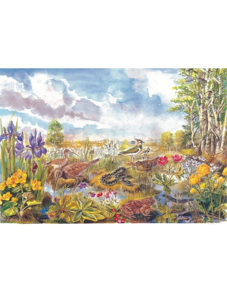 Biocenoza mlastinilor