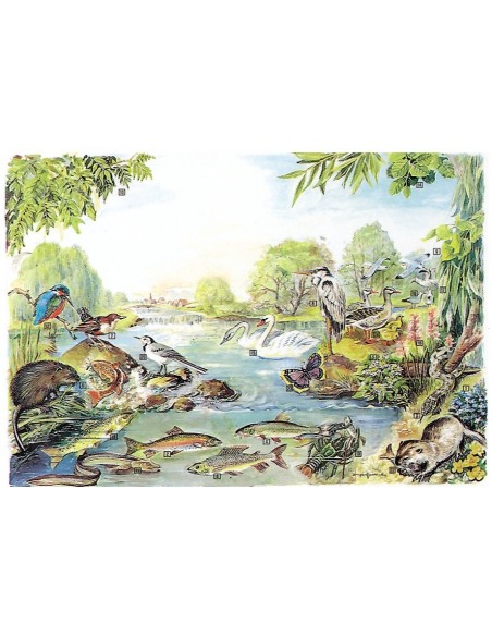 Biocenoza apelor curgatoare