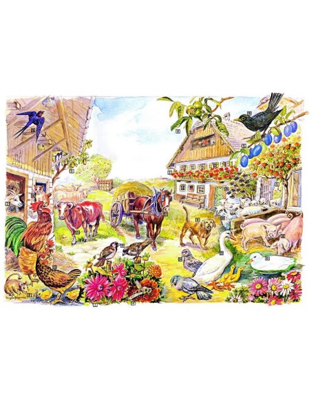 Biocenoza din jurul caselor taranesti