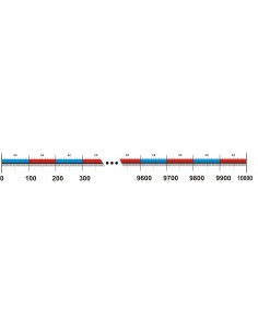 Banda pentru numarat de la 1 la 10000