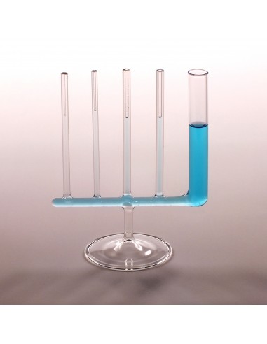 Vase comunicante cu tuburi capilare