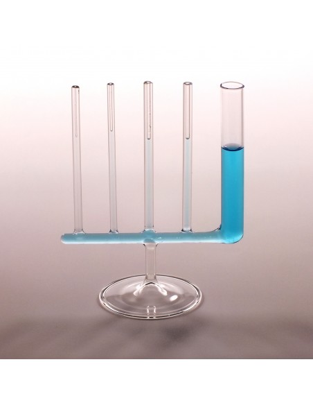 Vase comunicante cu tuburi capilare