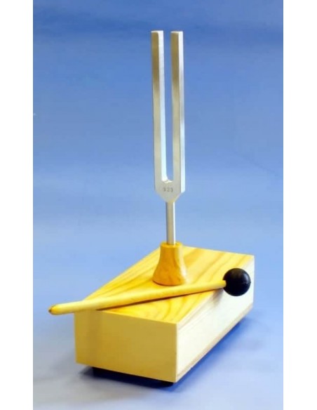 Diapazon cu cutie de rezonanta din lemn si ciocanel