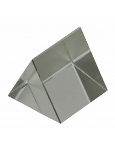 Prisma echilaterala