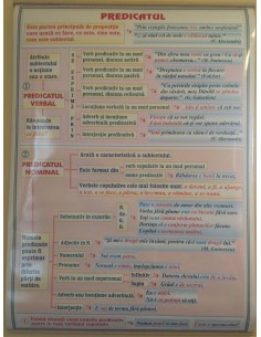 Articolul / Predicatul 2