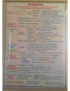 Adjectivul (1) / Atributul 2
