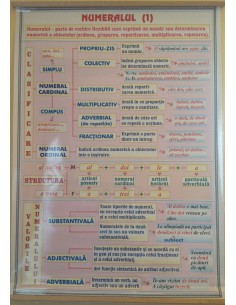 Numeralul (1) / Pronumele (1)