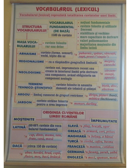 Verbul (1) / Vocabularul (Lexicul)