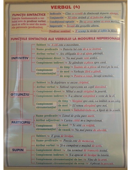 Verbul (4). Functii sintactice / Conversiunea (Schimbarea valorii gramaticale)