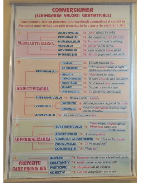 Verbul (4). Functii sintactice / Conversiunea (Schimbarea valorii gramaticale)
