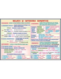 Propozitii subordonate circumstantiale (3) / Relatii si categorii semantice 2