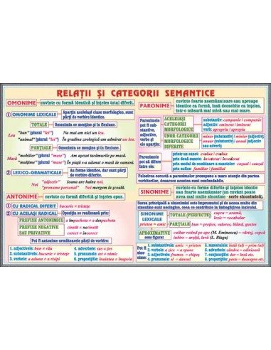 Propozitii subordonate circumstantiale (3) / Relatii si categorii semantice
